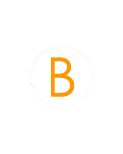 Bogg Bit - Initial B