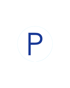 Bogg Bit - Initial P