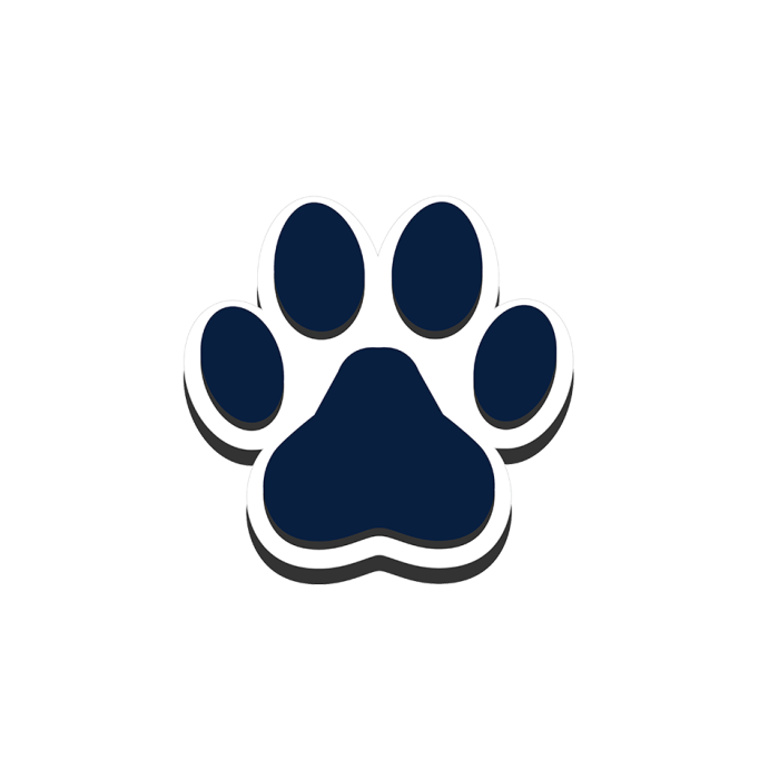 BIT02_PAW01_A.png