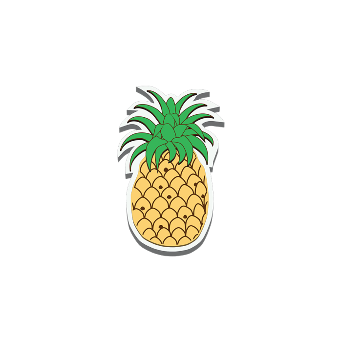 BIT02_PIN01_A.png