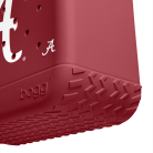BRG100000_ALA_E.png
