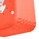 BRG100000_CLEM_E.png