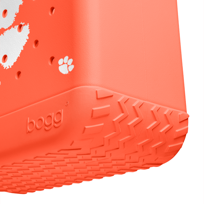 BRG100000_CLEM_E.png