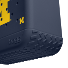BRG100000_MICH_E.png