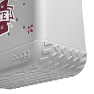 BRG100000_MSST_E.png