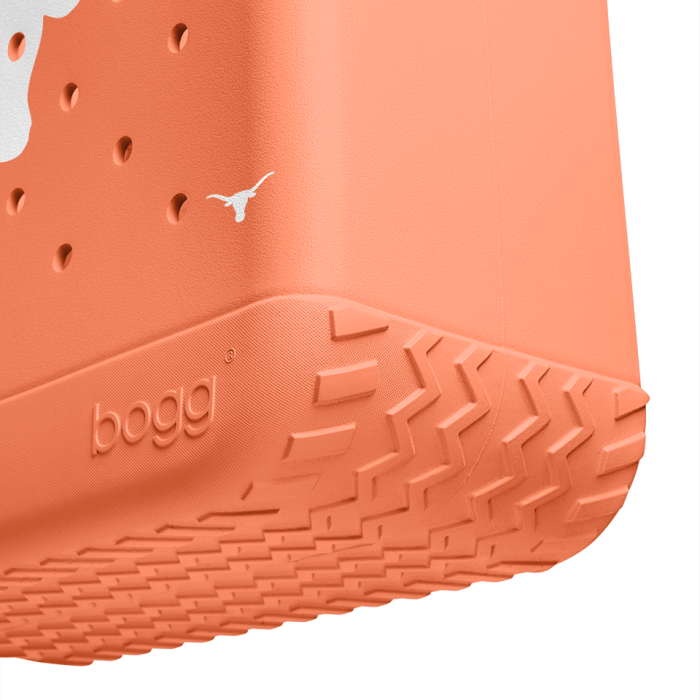BRG100000_TEX_E.png