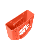 BRG120000_CLEM_C.png