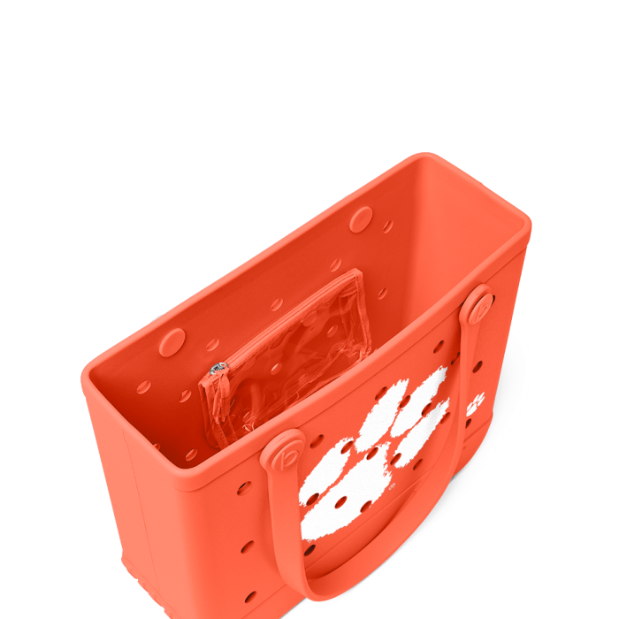 BRG120000_CLEM_C.png