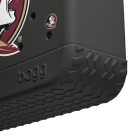 BRG120000_FSU_E.png