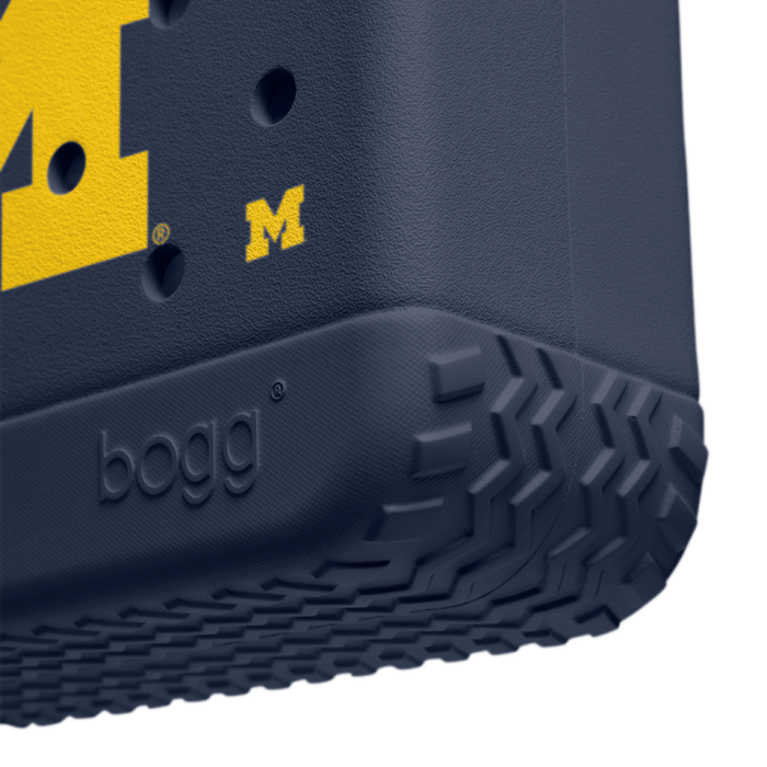 BRG140000_MICH_E.png