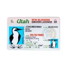 RFIDBlockingCard_87b5d51f-469b-447b-bcea-1329f4ba7fb9.jpg